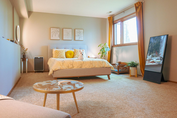A Guest Room Where Two-Legged and Four-Legged Guests Are Both Welcome