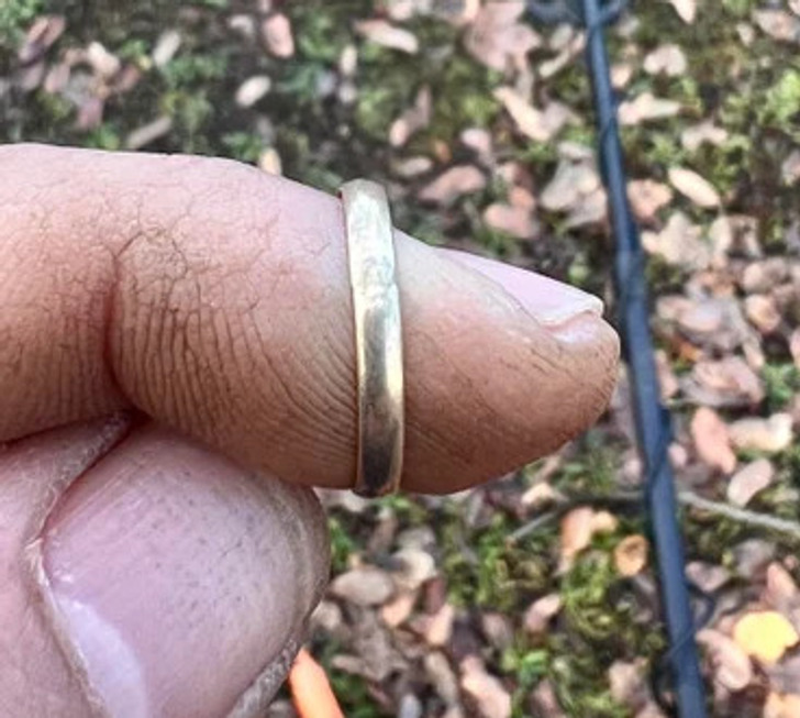 20 People Who Used a Metal Detector, and It Was Like Opening an Old Pirate Chest