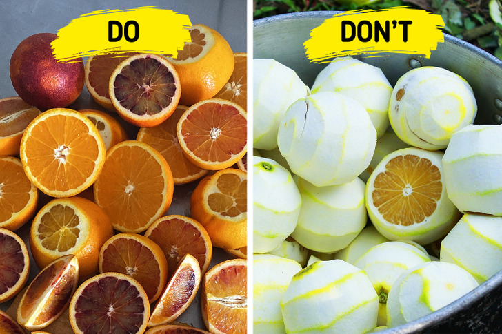 Why you should eat more orange food - The Inner World