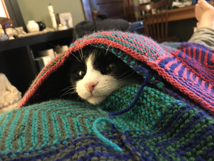 Helping Dad Sew In the Ends of His Afghan