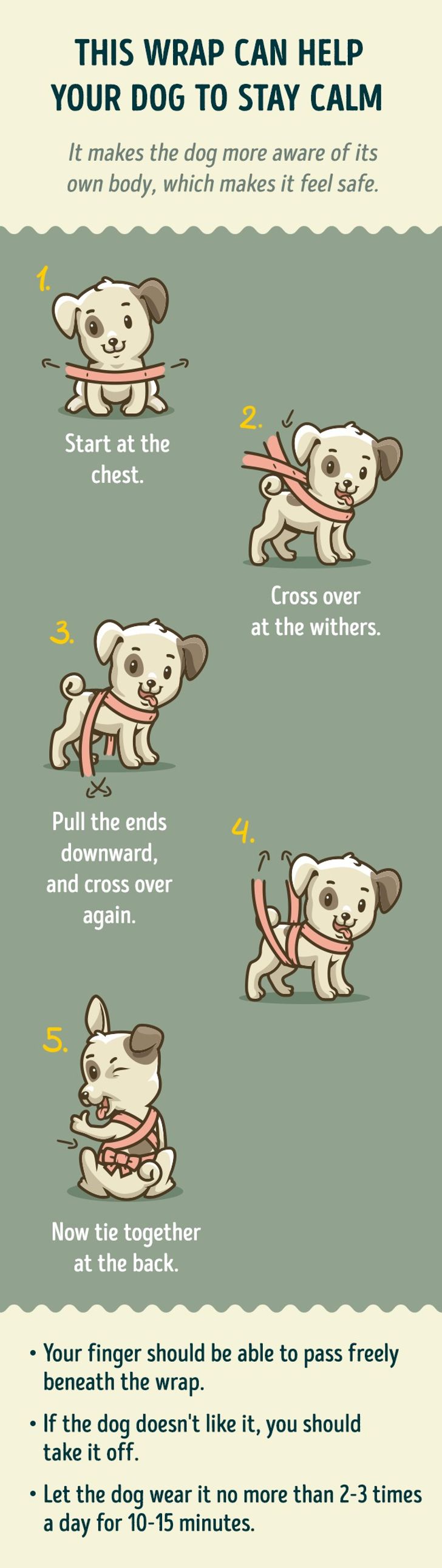 dog tie for fireworks