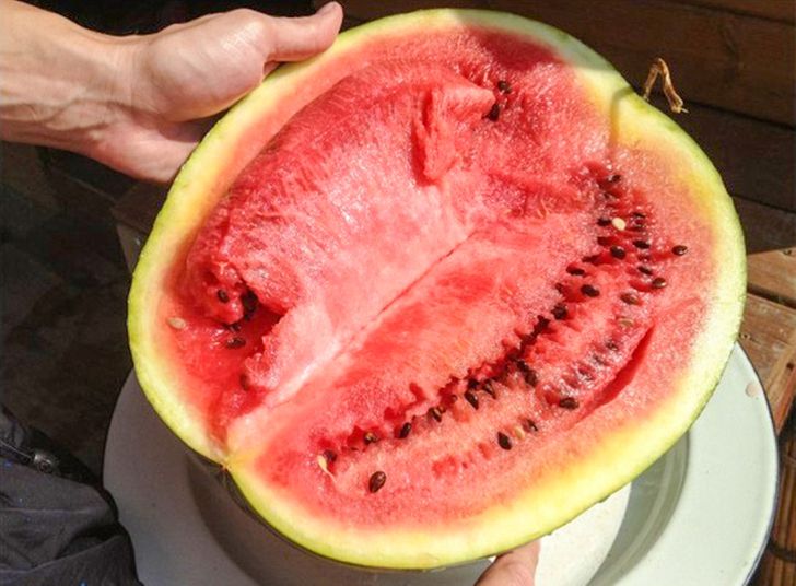 5 Signs Of A Nitrate Watermelon That Can Help You Avoid Poisoning