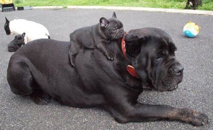 25 Exhilarating Photos That Will Make You Smile When You’re Having a Bad Day