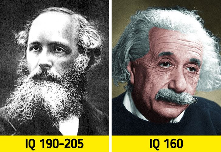 People with Highest IQ Than Einstein