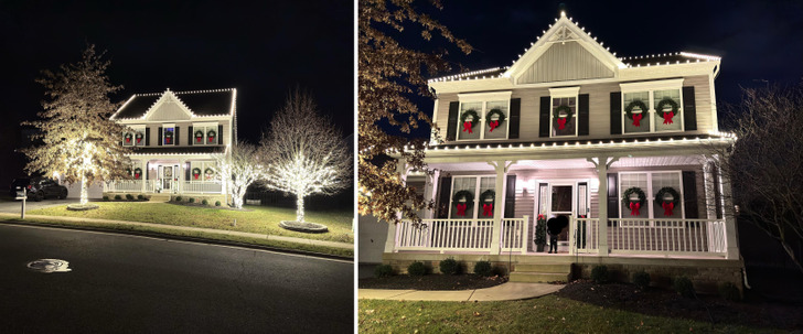 An Ambitious First Timer: 24 Strands on Each Tree, and 50 More Saved for Next Year