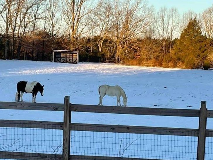 18 Photos That’ll Truly Mess With Our Minds