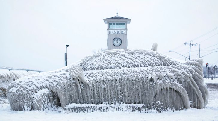 25 photos that prove the world is an utterly wonderful place