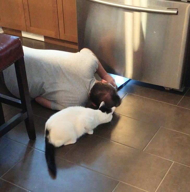 19 Pets That Put a Love Spell on Their Owners