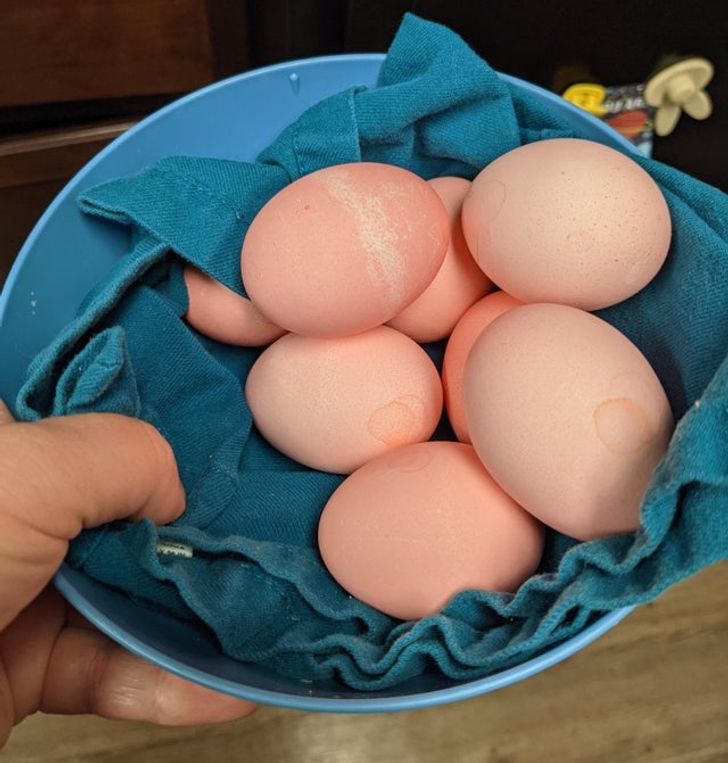 15+ Game-Changing Life Hacks That Can Save You Tons of Time and Nerves in the Kitchen