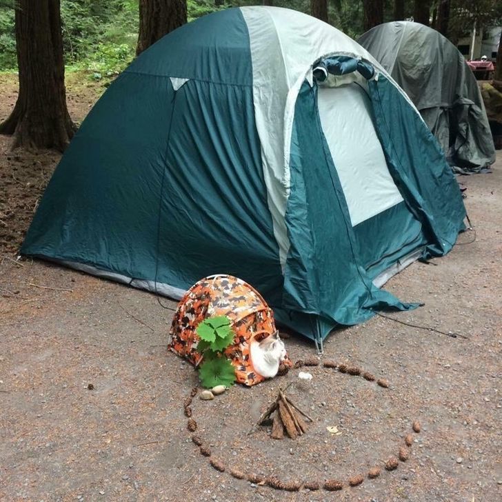 19 Strange Sights That Will Make Anyone Raise an Eyebrow