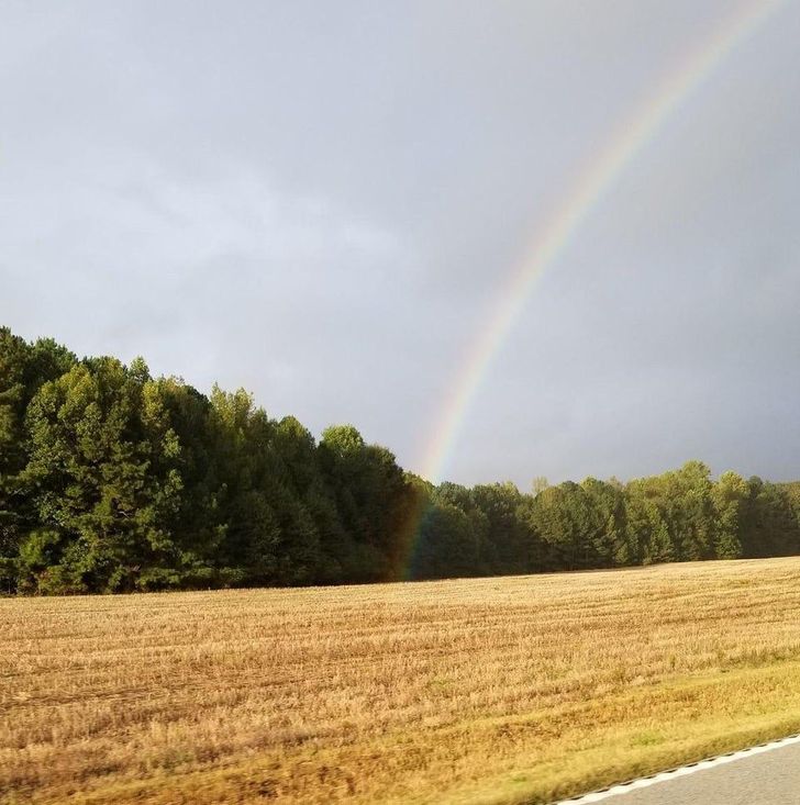 19 People Saw Something So Stunning That They Couldn’t Help but Tell Everyone About It