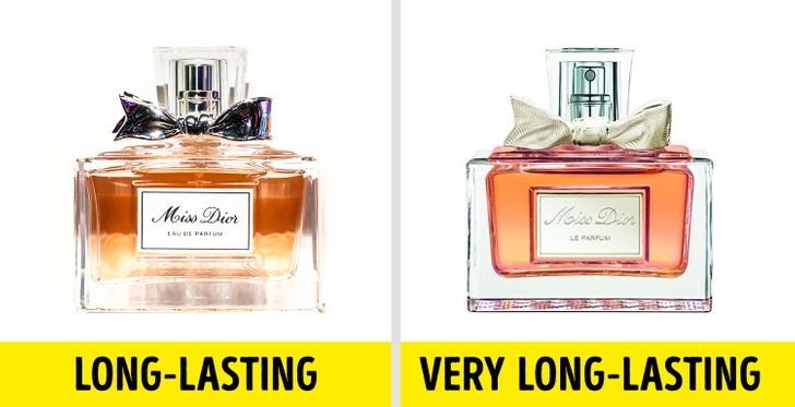 find your perfect perfume