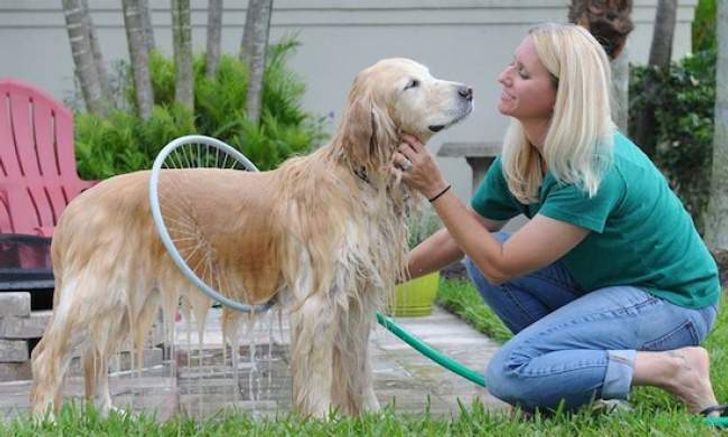 16 Superb Inventions For the Home Which Everyone Should Have