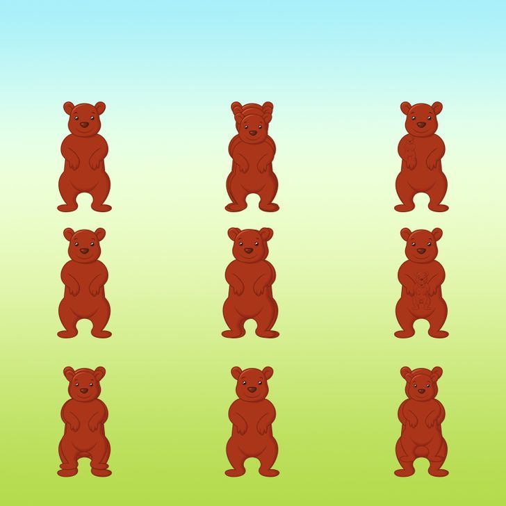 How many bears do you see in the picture below?