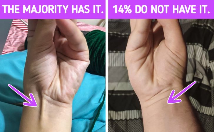 The Hand Shape Of People With The Rarest Personality Type