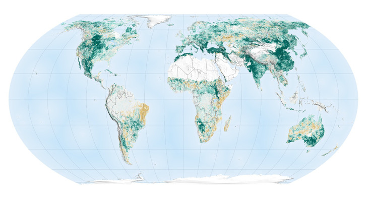 Change in green leaf area, 2000–2017 (NASA map)