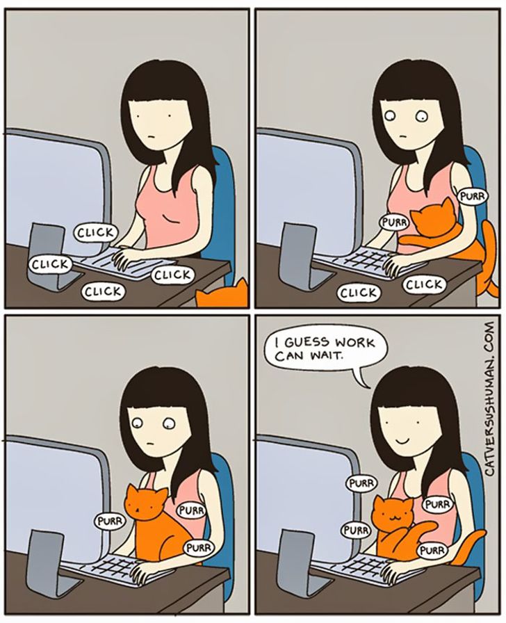 15 Hilarious Comic Strips Every Cat Owner Will Understand