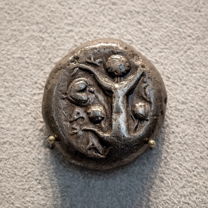 A silver coin of Cyrene with the silphium plant, 500–450 B.C.