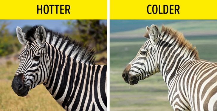 7 False Facts We Still Believe In Because We Were Told So In School