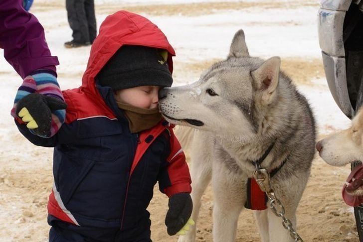 25 Exhilarating Photos That Will Make You Smile When You’re Having a Bad Day