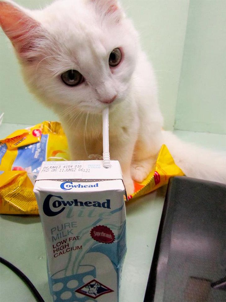 25 Exhilarating Photos That Will Make You Smile When You’re Having a Bad Day