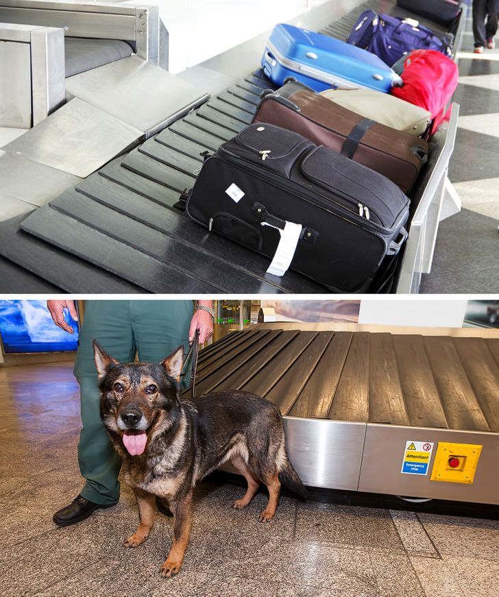9 Reasons Why Airport Staff Knows Much More About Us Than We Think