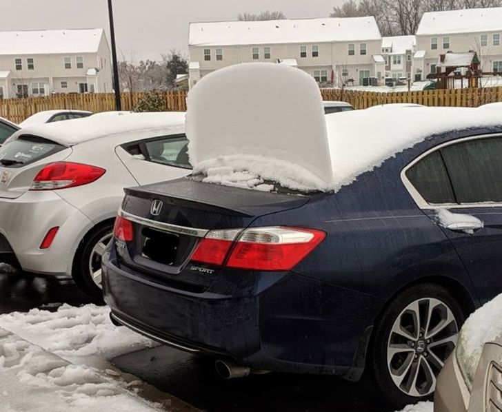 28 Icy Photos Proving Winter Is Not for the Faint-Hearted