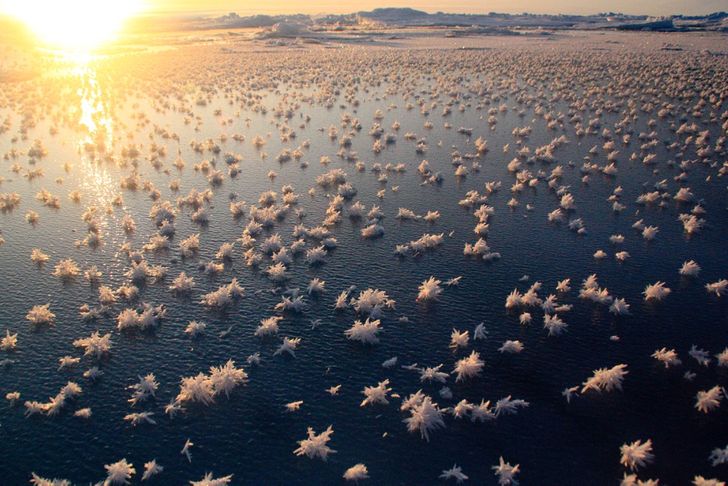 23 utterly amazing natural phenomena that are seemingly impossible