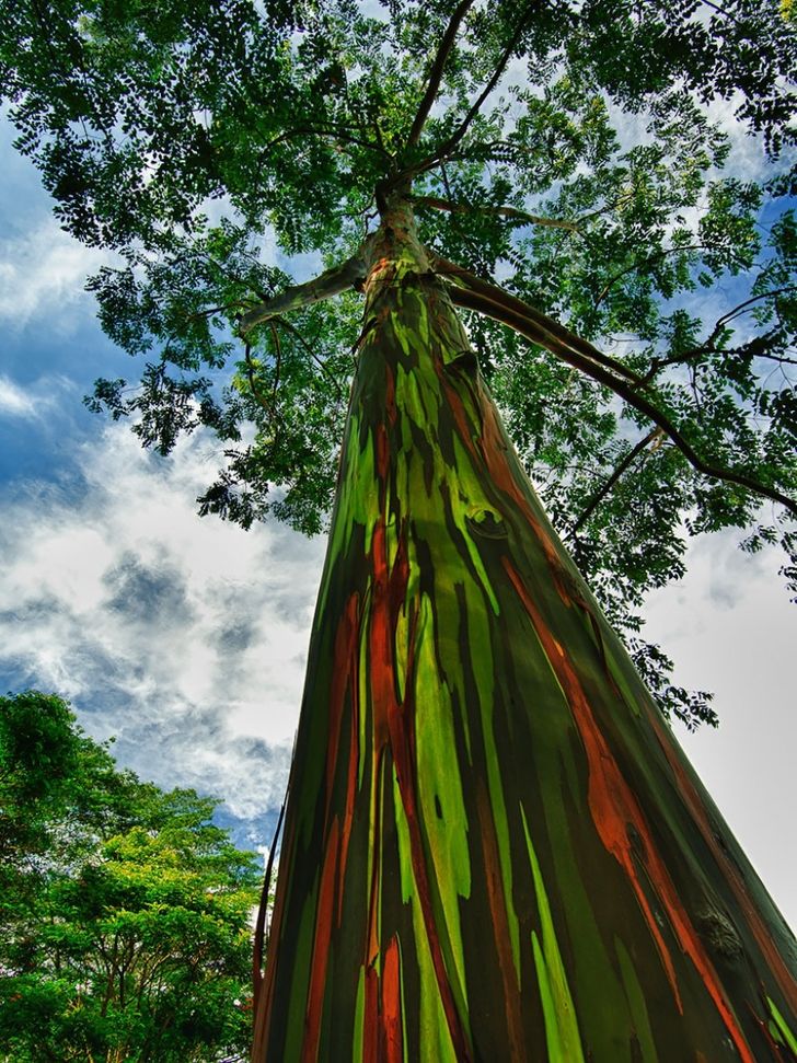 23 utterly amazing natural phenomena that are seemingly impossible