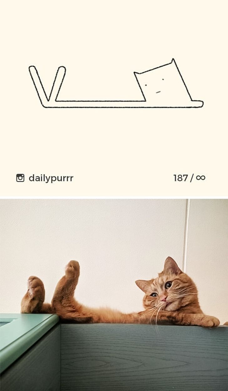 An Artist Creates Adorable Minimalist Cat Drawings, and They Are ...