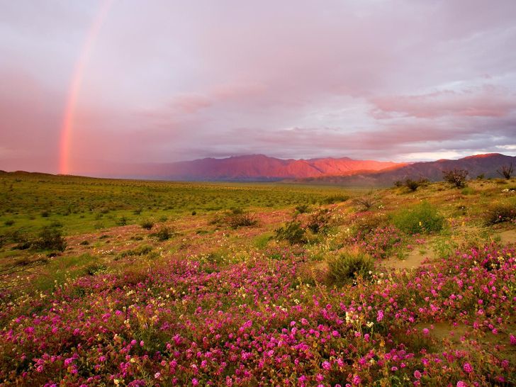 23 utterly amazing natural phenomena that are seemingly impossible