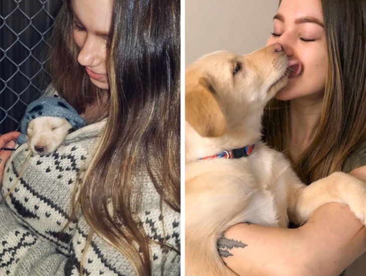 15 Pets Whose Lives Changed Tremendously Thanks to a Loving Family