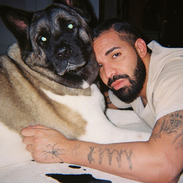 Singer Drake hugging his dog.