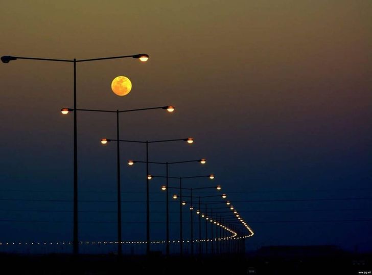 27 foto që nuk janë për ata me zemër të dobët