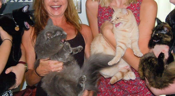 Four Littermates Met Again on Their First Birthday, and the Party Didn’t Go as Planned