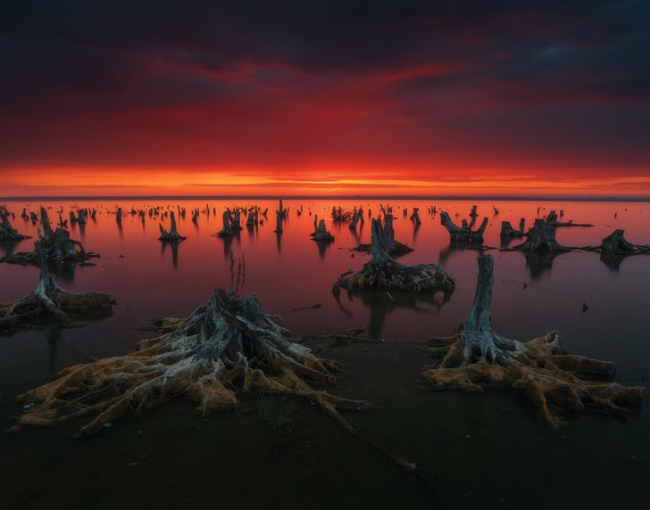 The 20 best photos of the month you just can’t take your eyes off of