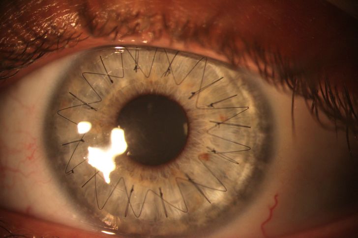 20 Truly Impressive Photos That Show an Unexpected Side of Life