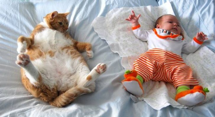 25 Exhilarating Photos That Will Make You Smile When You’re Having a Bad Day