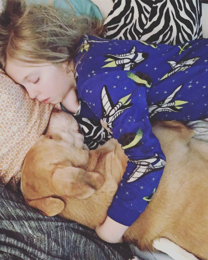 19 Pets That Put a Love Spell on Their Owners