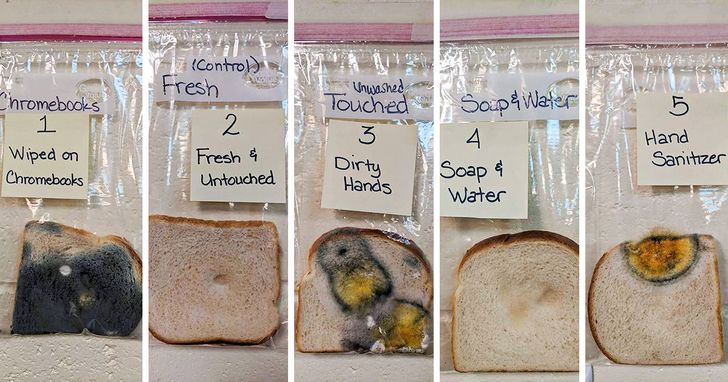 A Teacher Did an Experiment to Show the Power of Handwashing, and You Can’t Stay Unimpressed