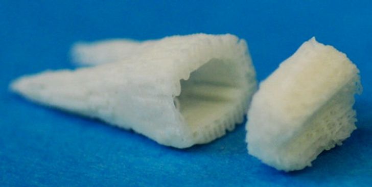 Scientists Found a Way to Regrow Teeth in 2 Months