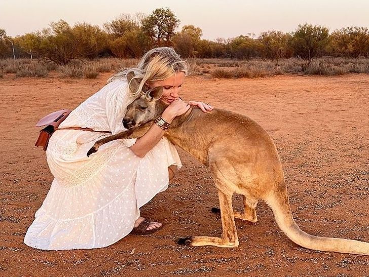 A Kangaroo Can't Stop Hugging the Volunteers Who Saved Her Life, and the Video Will Melt Your Heart / Bright Side