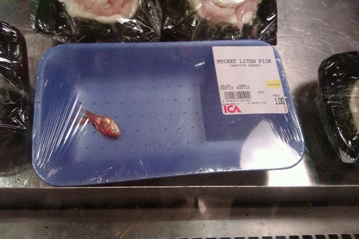 18 People Who Live Life by Their Own Rules