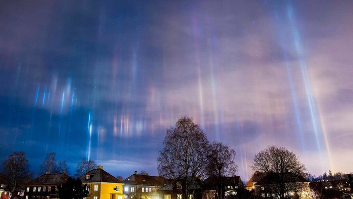 25 photos that prove the world is an utterly wonderful place