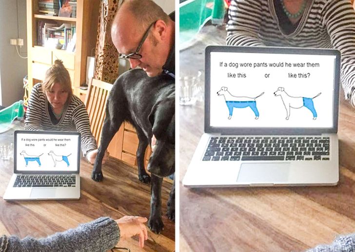 26 Cool Families That Go Crazy on a Daily Basis