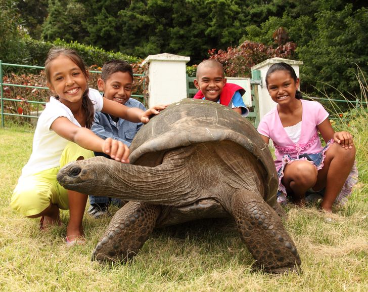 Meet Jonathan, a Tortoise Who’s So Old, He’s Already Lived in 3 Centuries