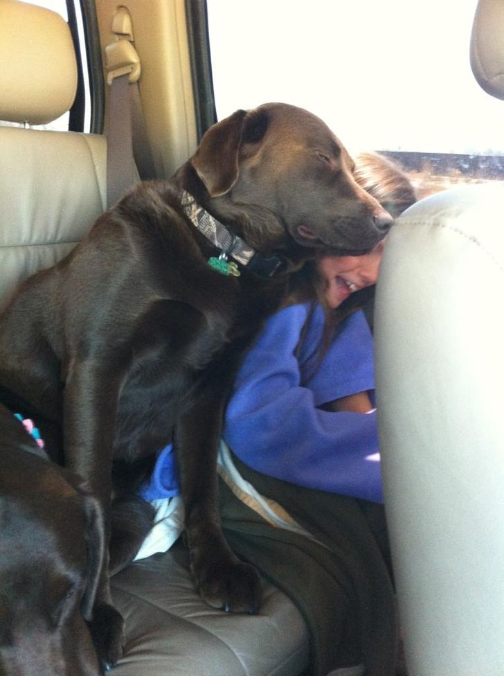17 Cats and Dogs Who Cannot Do Without Their Humans
