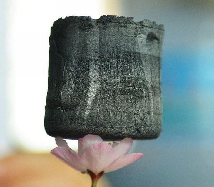 20 Truly Impressive Photos That Show an Unexpected Side of Life