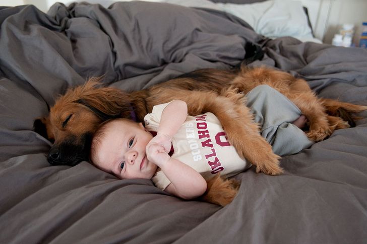 Dog huggin a baby