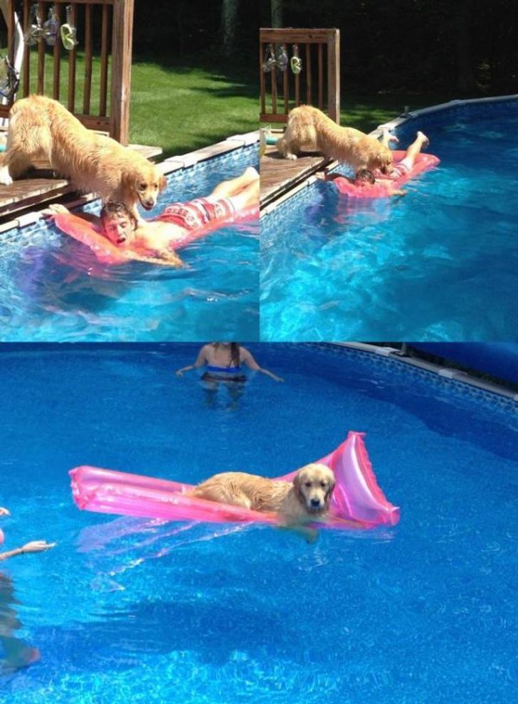 22 Photos That Can Drive Anyone Crazy